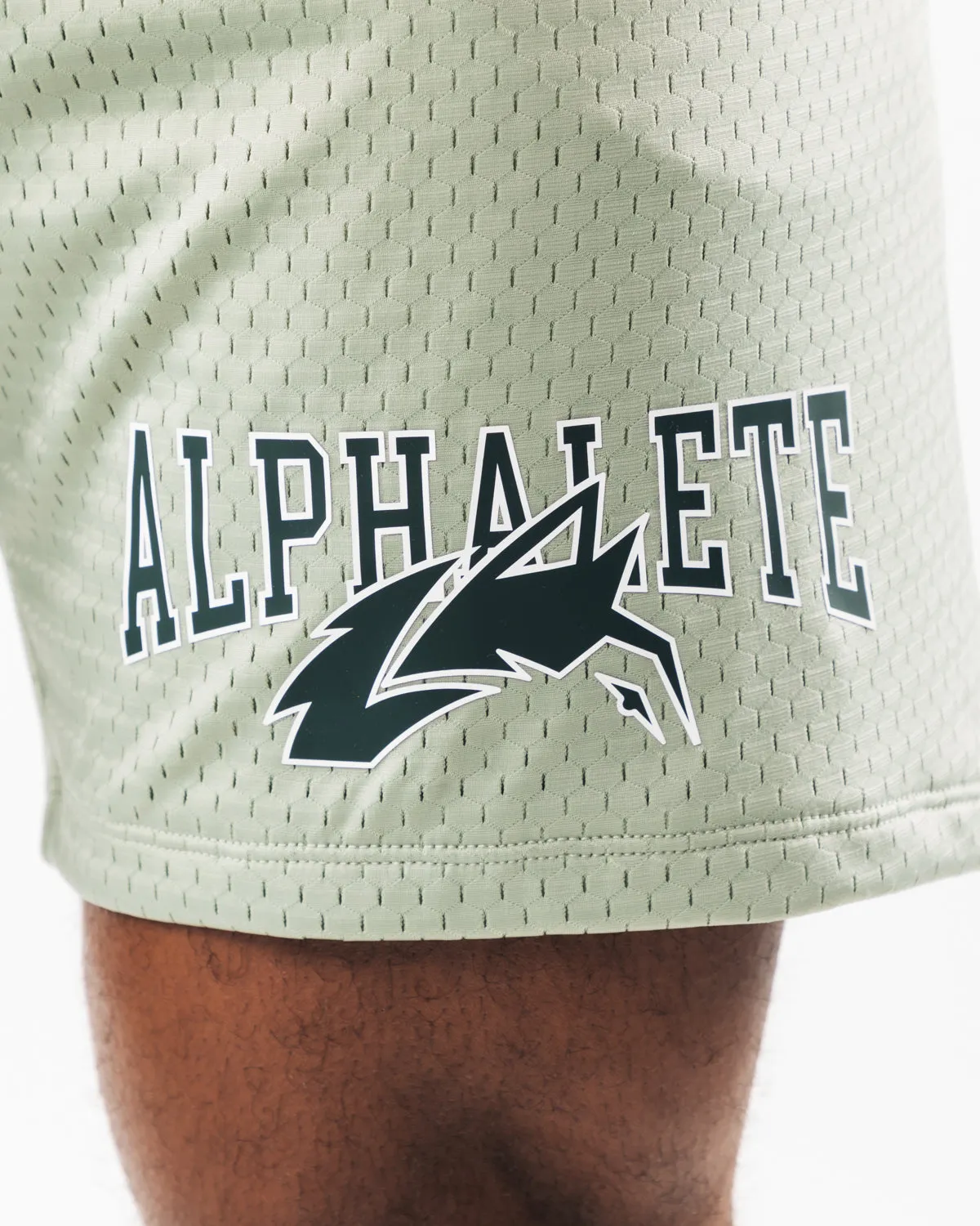 Alphalete Wolf Head Mesh Short 6" - Sage
