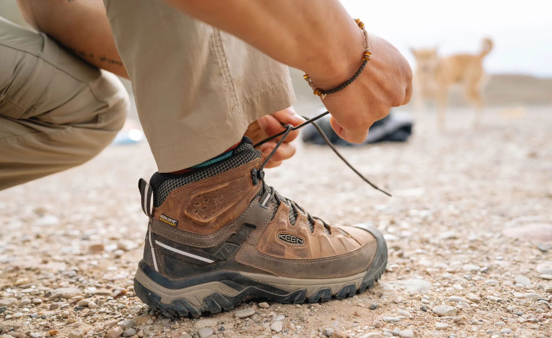 Keen Men's Targhee III Waterproof Mid Wide  |  Black Olive/Golden Brown