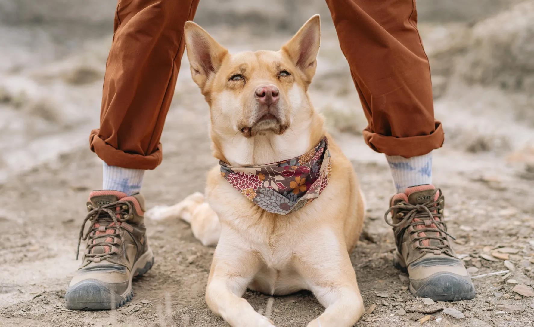 Keen Women's Ridge Flex Waterproof Boot  |  Timberwolf/Brick Dust